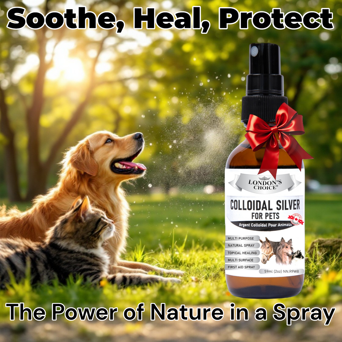 Harnessing Nature's Healing Power: How Colloidal Silver Can Be Your Pet's Best Ally 🐾