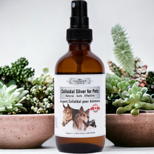 Choosing Natural Health Products: Unlocking the Power of Nature