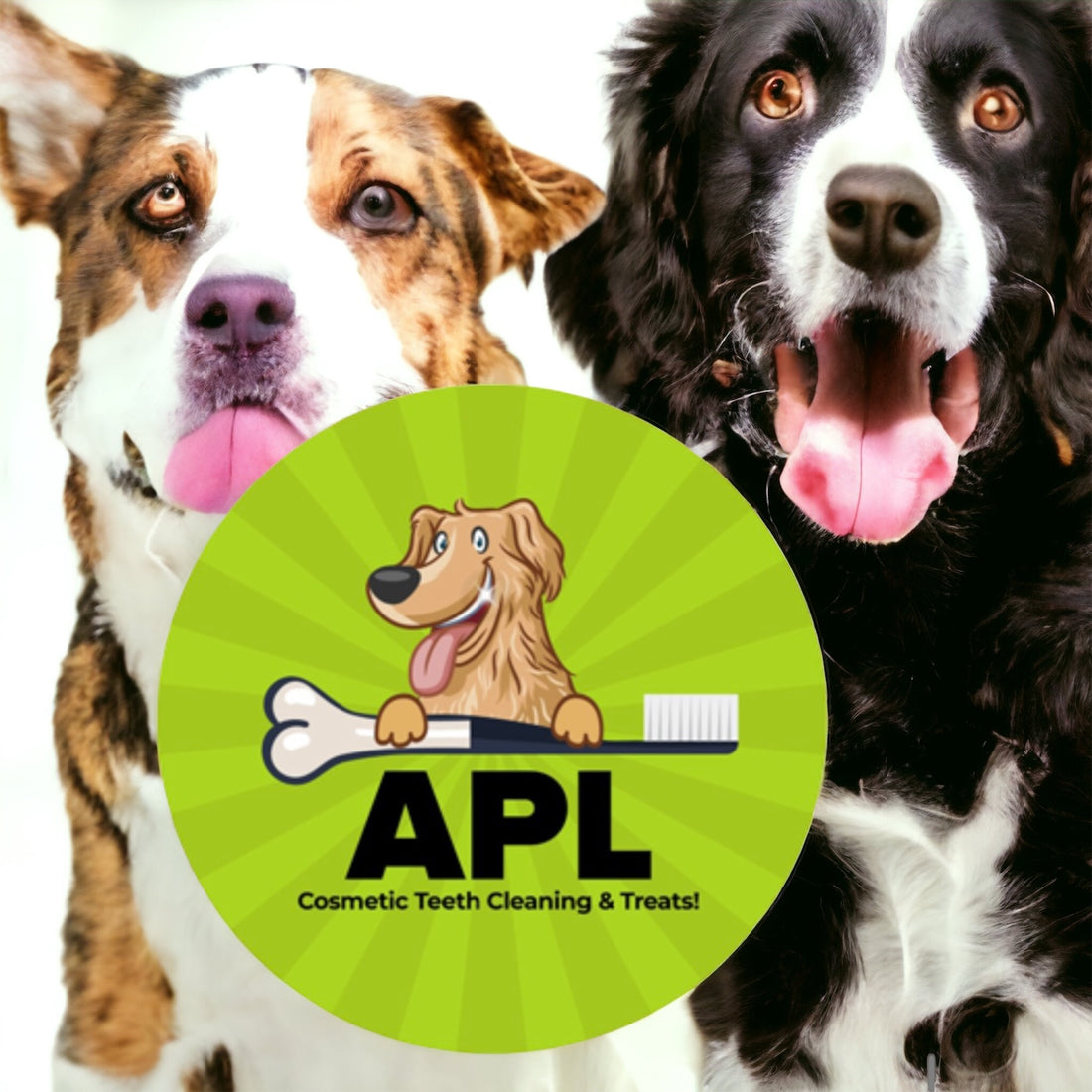 🐾💚 APL Teeth Cleaning: Championing Fur Babies' Health and Happiness 💚🐾