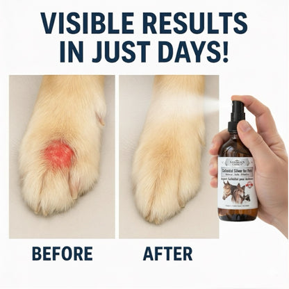 London’s Choice – Colloidal Silver for Pets (10ppm, Natural First Aid Spray for Dogs & Cats)
