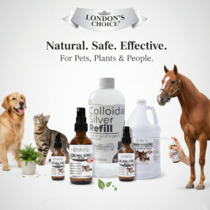 London’s Choice – Colloidal Silver for Pets (10ppm, Natural First Aid Spray for Dogs & Cats)