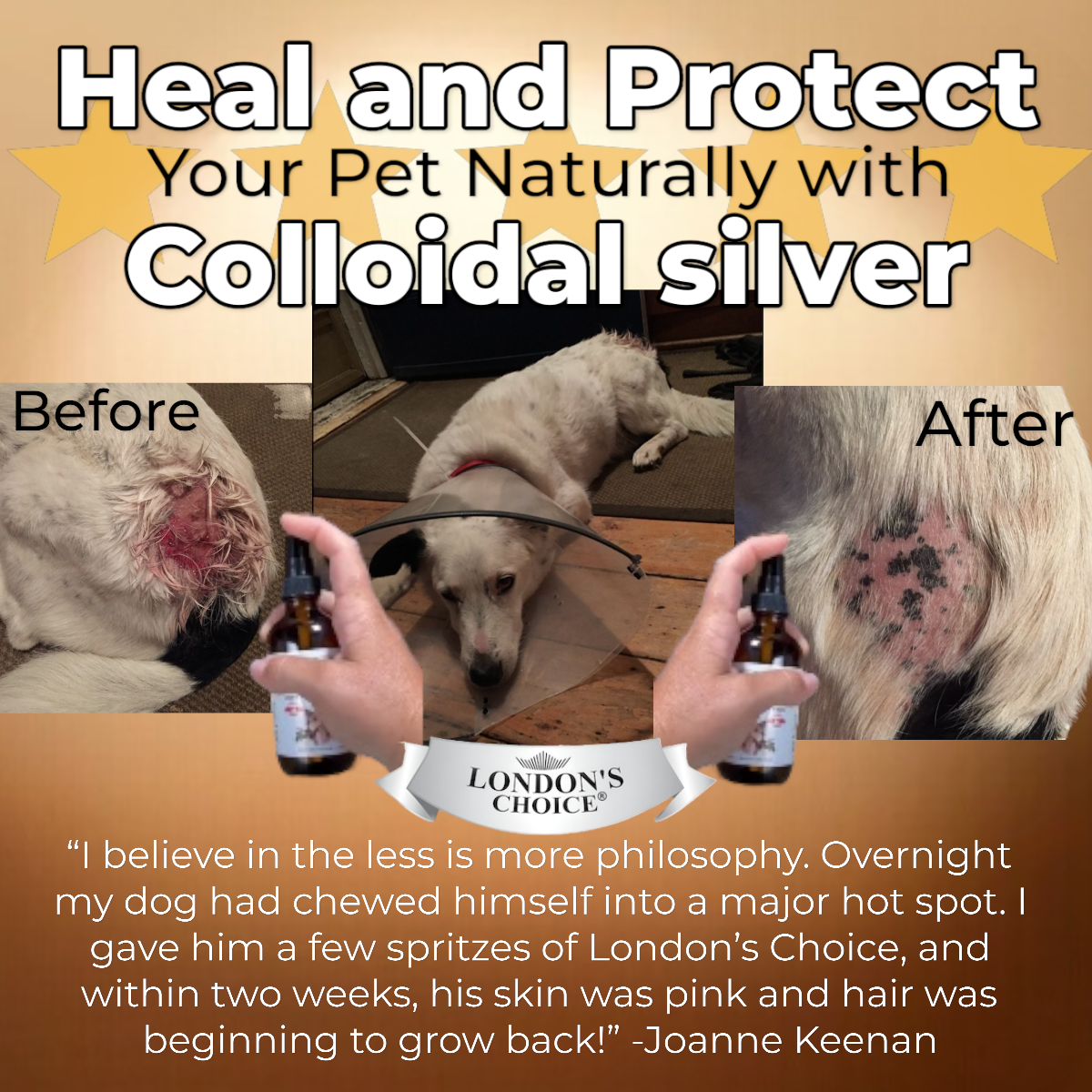 LONDON’S CHOICE - Colloidal Silver for Pets - 10ppm