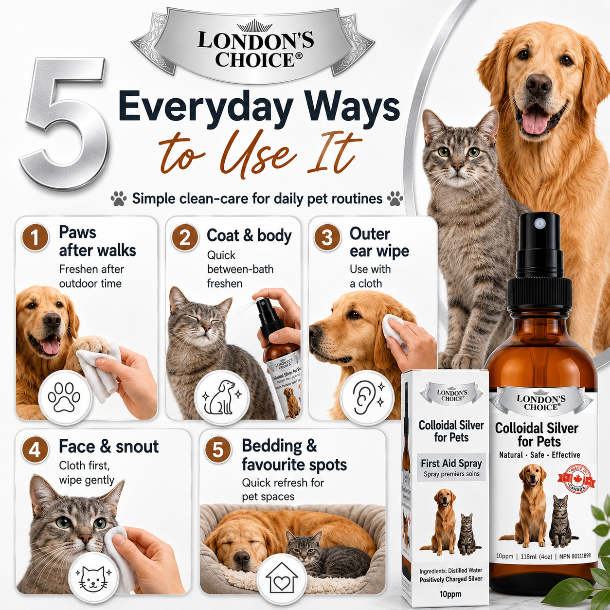 Colloidal Silver Spray for Dogs & Cats — 10 ppm