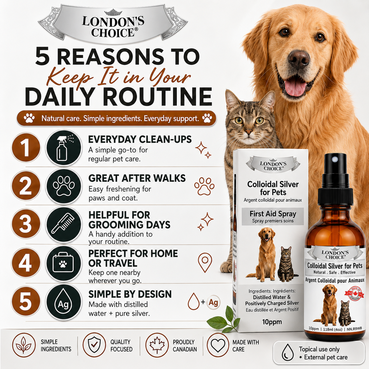 Colloidal Silver Spray for Dogs & Cats — 10 ppm