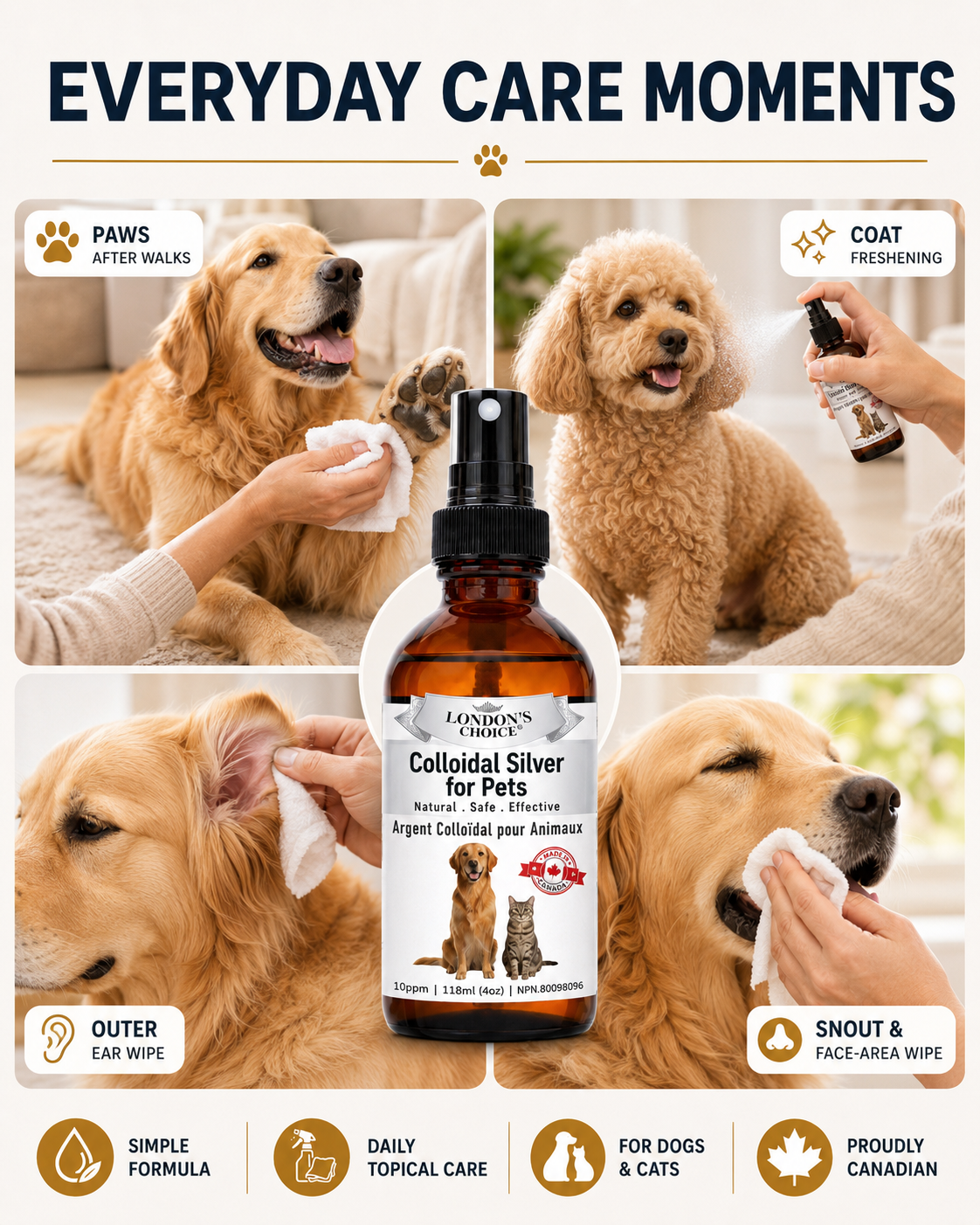 Colloidal Silver Spray for Dogs & Cats — 10 ppm