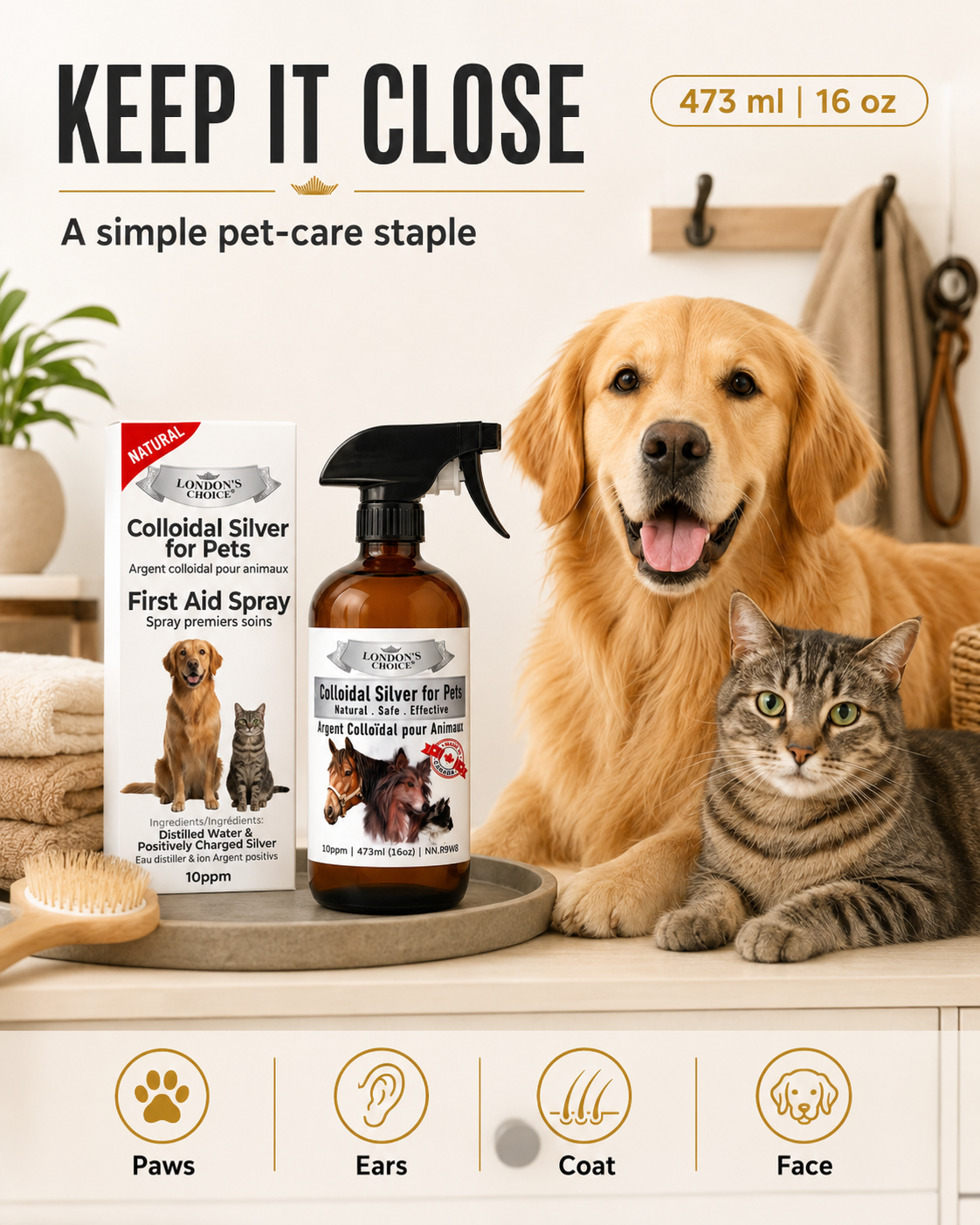 Colloidal Silver Spray for Dogs & Cats — 10 ppm