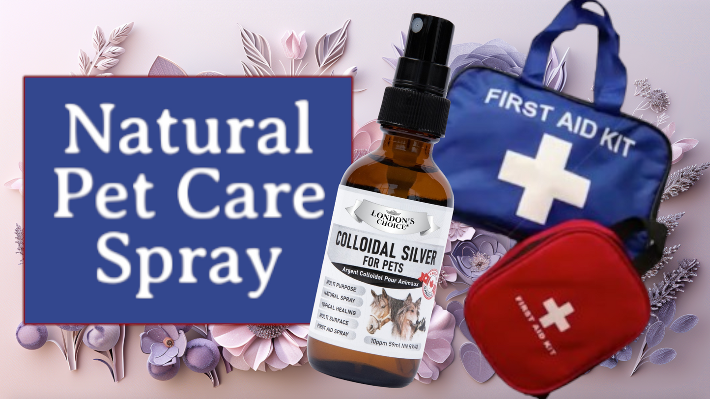 colloidal silver spray for dogs