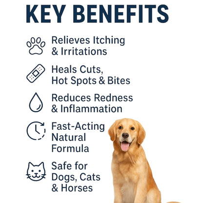 London’s Choice – Colloidal Silver for Pets (10ppm, Natural First Aid Spray for Dogs & Cats)